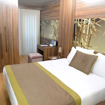 Hotel Ferman Sisli 4*